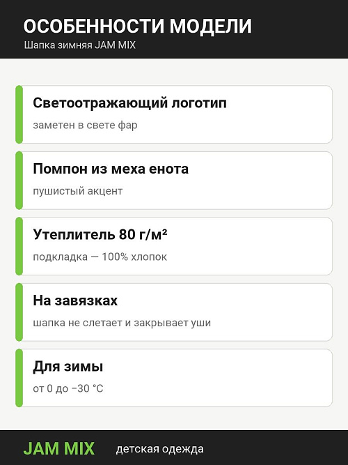 ШД-1028/1 Шапка зимняя для мальчика
