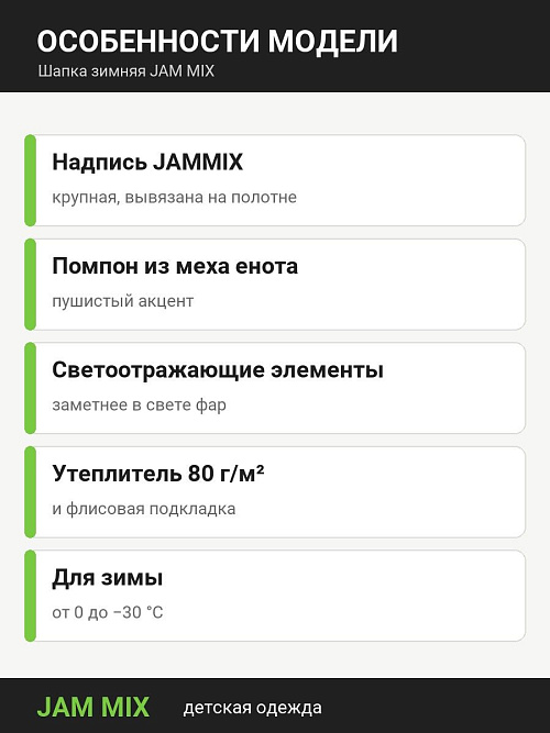 ШД-1029/1 Шапка зимняя для мальчика