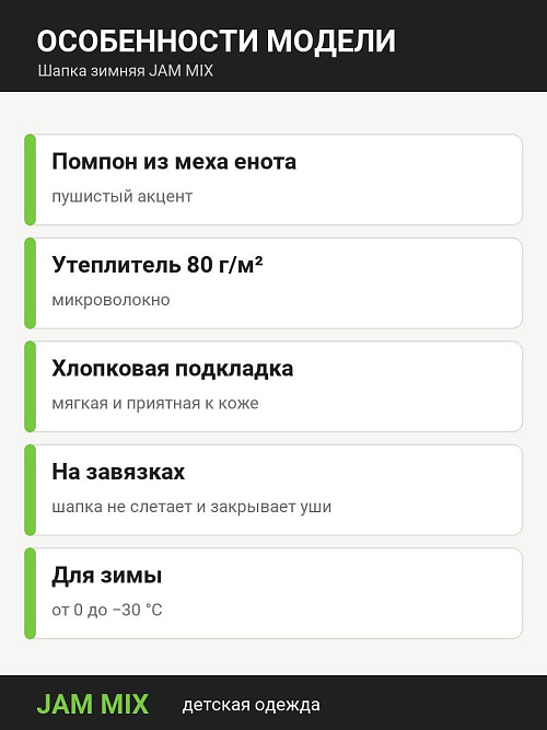 ШД-1027/1 Шапка зимняя для мальчика