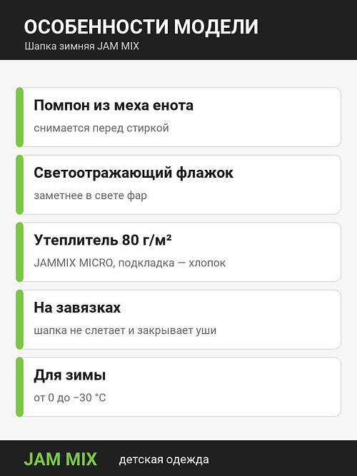 ШД-SK19/2 Шапка зимняя для мальчика