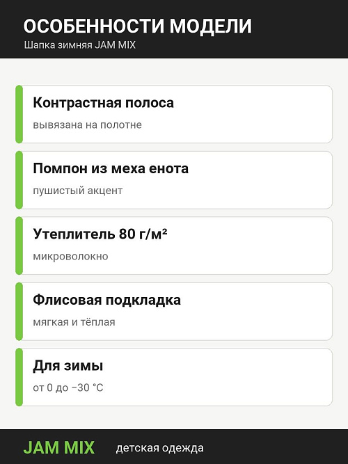 ШД-6538/2 Шапка зимняя для мальчика