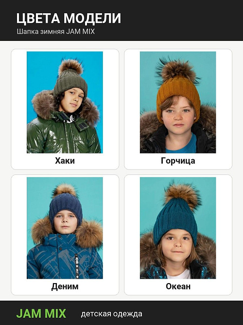 ШД-6539/1 Шапка зимняя для мальчика