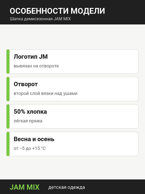 Ш-1020/2 Шапка для мальчика JM