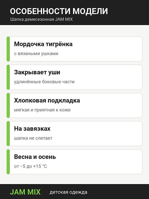 ШД-1012/1 Шапка демисезонная для мальчика